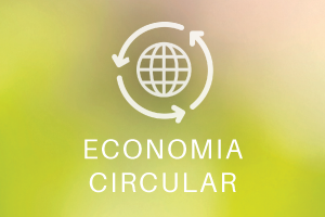 Estatísticas da Economia Circular - Aplicação Interativa
