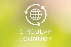 Circular Economy Statistics - Interactive Application