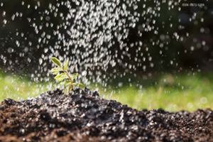 State of the environment - 2024