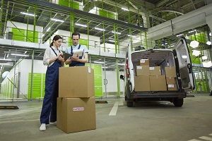 Services Turnover Index grew 1.7% - November 2025