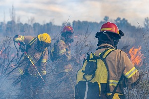 High and very high rural fire hazard areas account for 30.6% of Mainland Portugal and more than half of the Centro and Norte regions