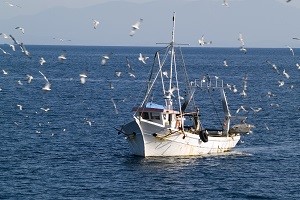 Negotiation of fishing quotas with Spain allowed Portugal to double the fishing opportunities for swordfish