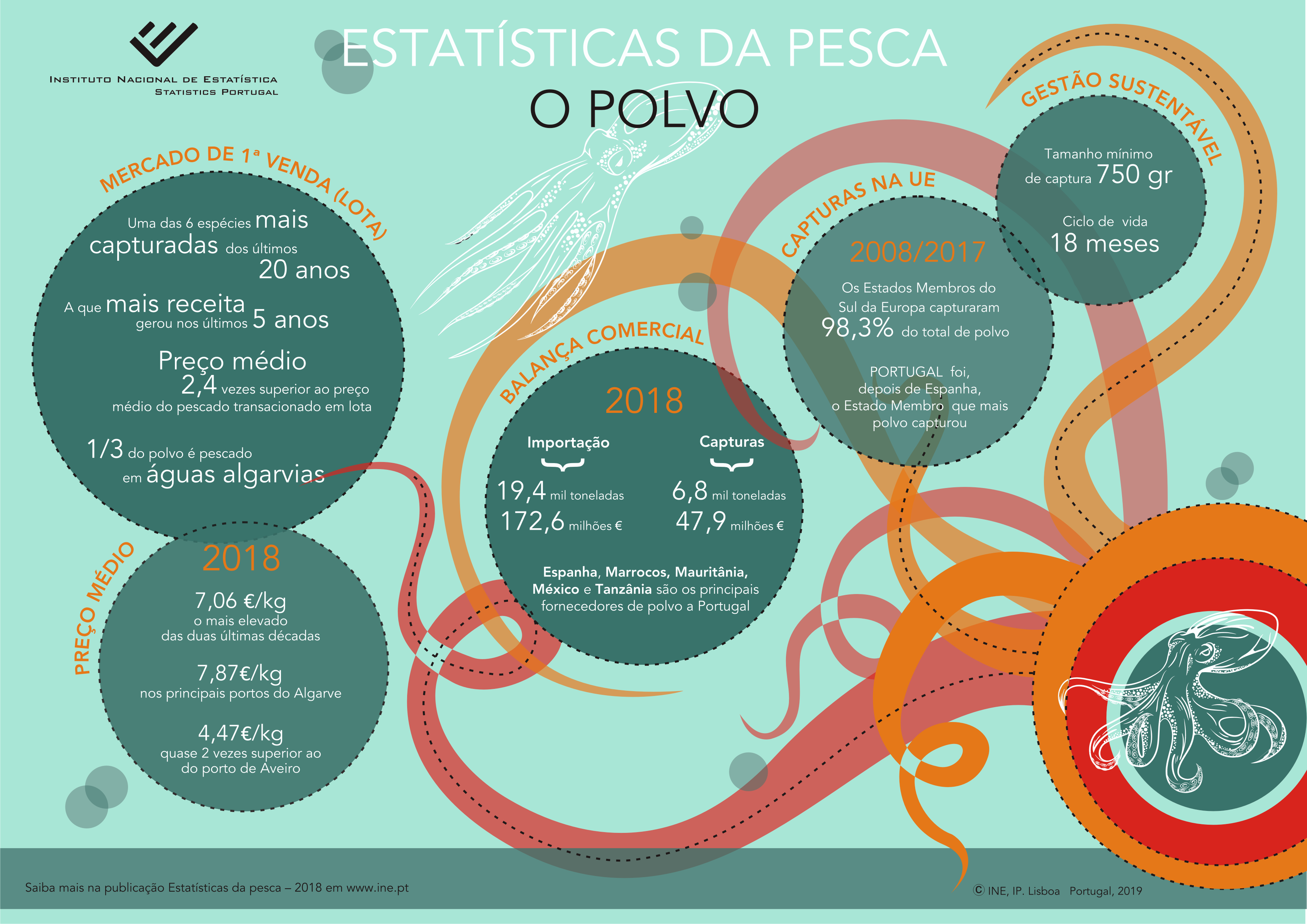 Estatísticas da Pesca - O Polvo